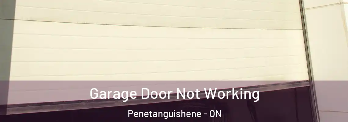 Garage Door Not Working Penetanguishene - ON