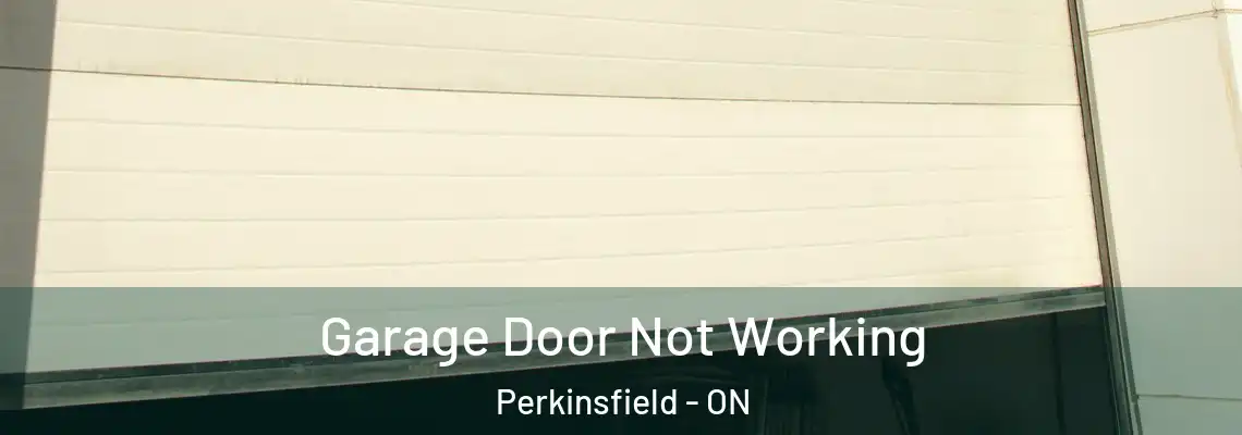  Garage Door Not Working Perkinsfield - ON