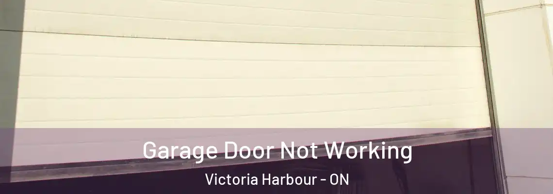 Garage Door Not Working Victoria Harbour - ON