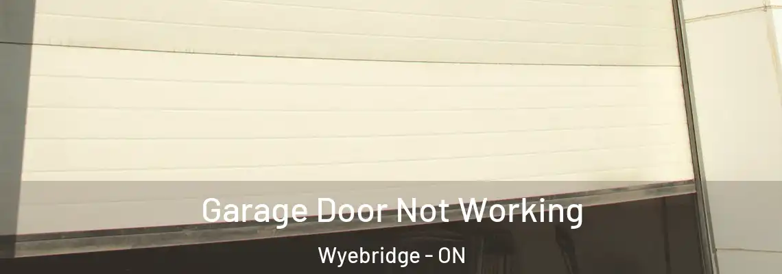 Garage Door Not Working Wyebridge - ON