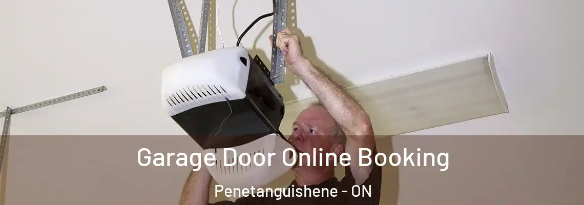 Garage Door Online Booking Penetanguishene - ON