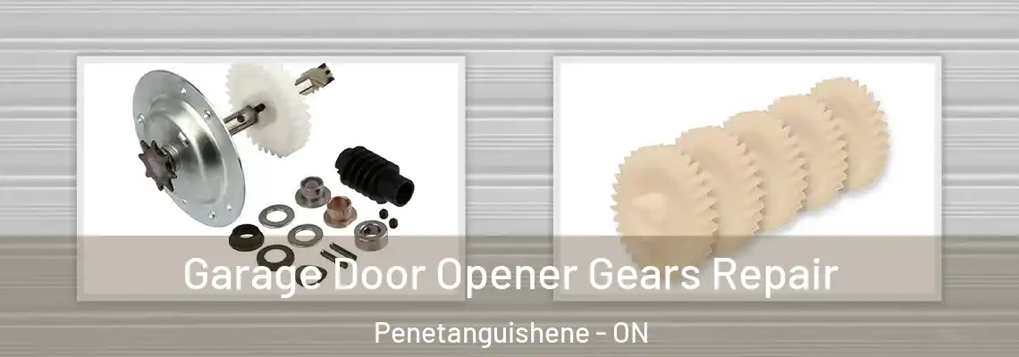 Garage Door Opener Gears Repair Penetanguishene - ON