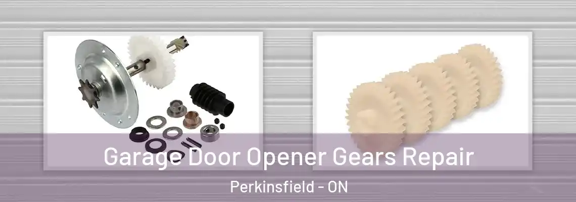 Garage Door Opener Gears Repair Perkinsfield - ON