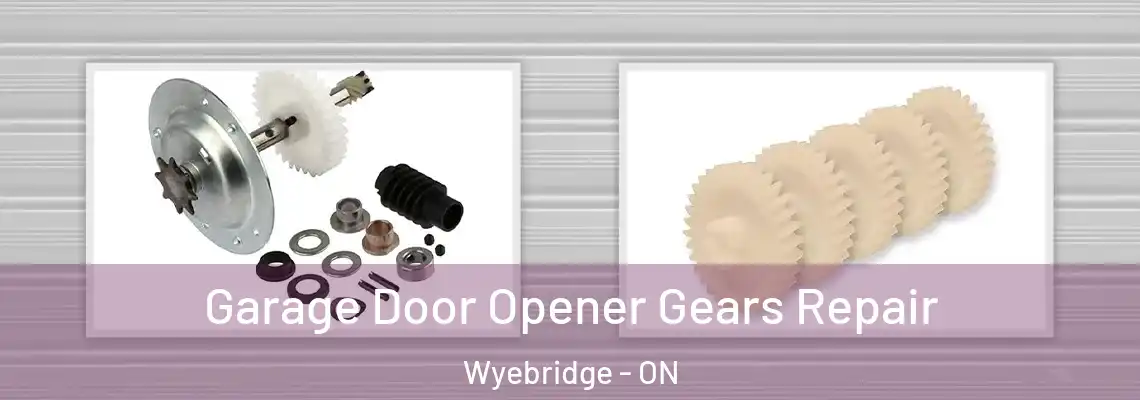 Garage Door Opener Gears Repair Wyebridge - ON