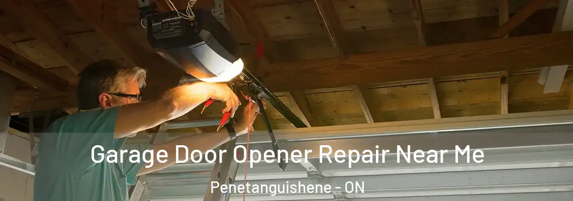 Garage Door Opener Repair Near Me Penetanguishene - ON