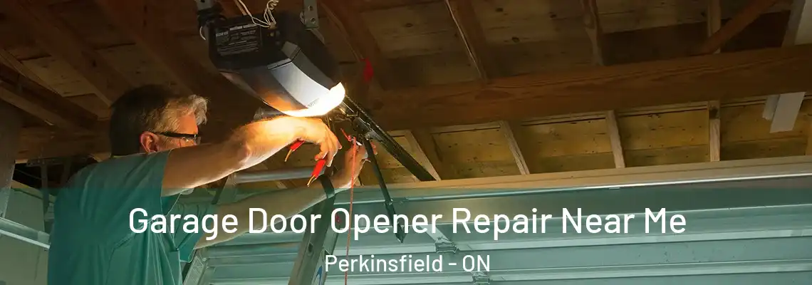 Garage Door Opener Repair Near Me Perkinsfield - ON