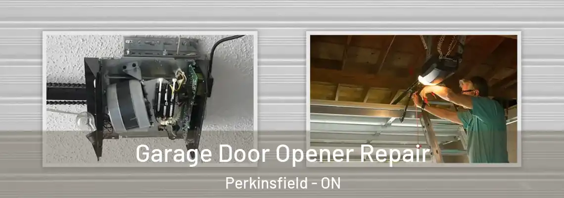 Garage Door Opener Repair Perkinsfield - ON