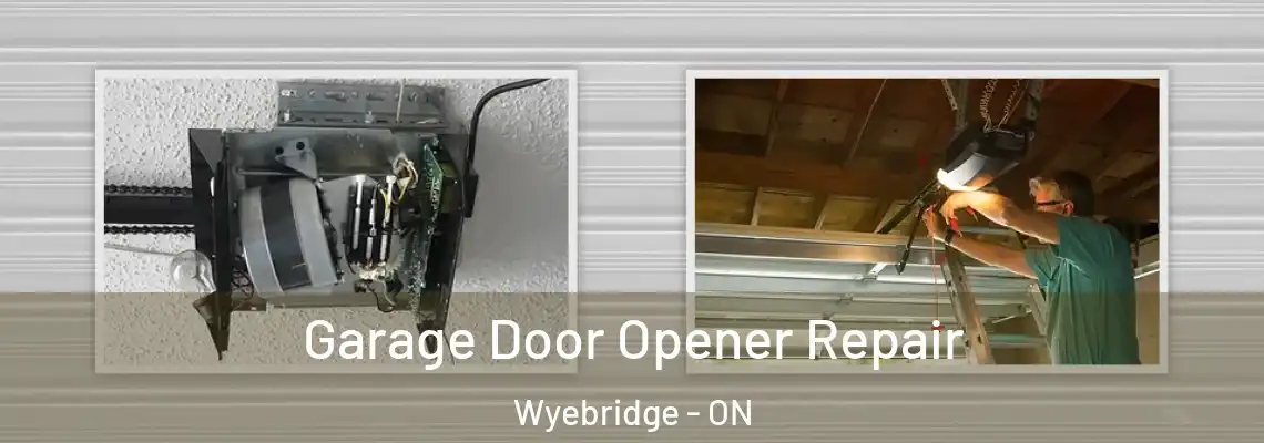 Garage Door Opener Repair Wyebridge - ON