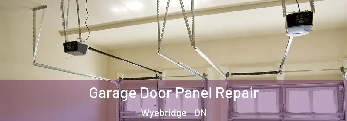 Garage Door Panel Repair Wyebridge - ON