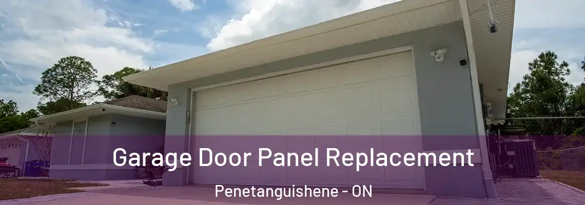 Garage Door Panel Replacement Penetanguishene - ON