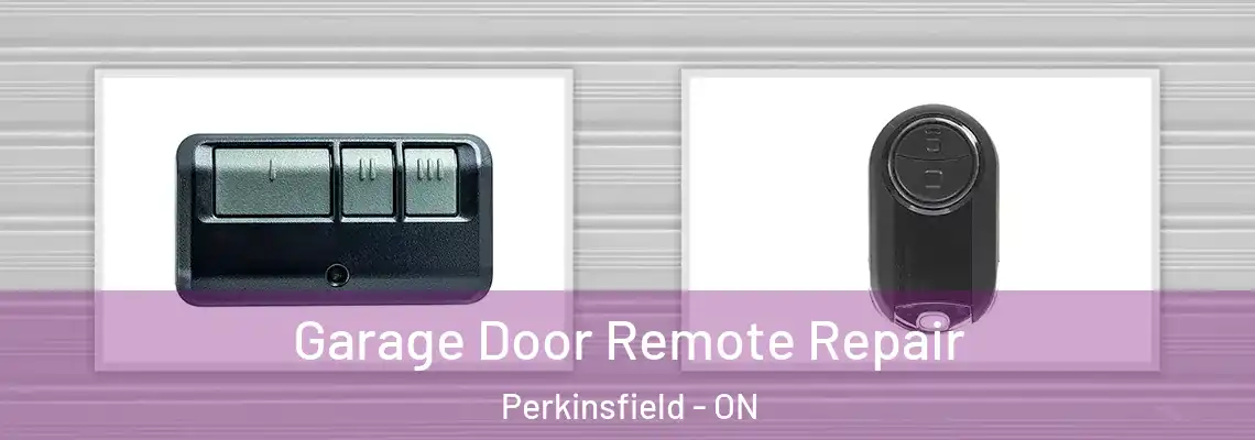 Garage Door Remote Repair Perkinsfield - ON
