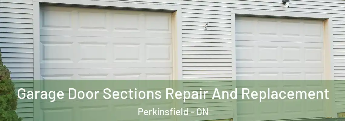 Garage Door Sections Repair And Replacement Perkinsfield - ON
