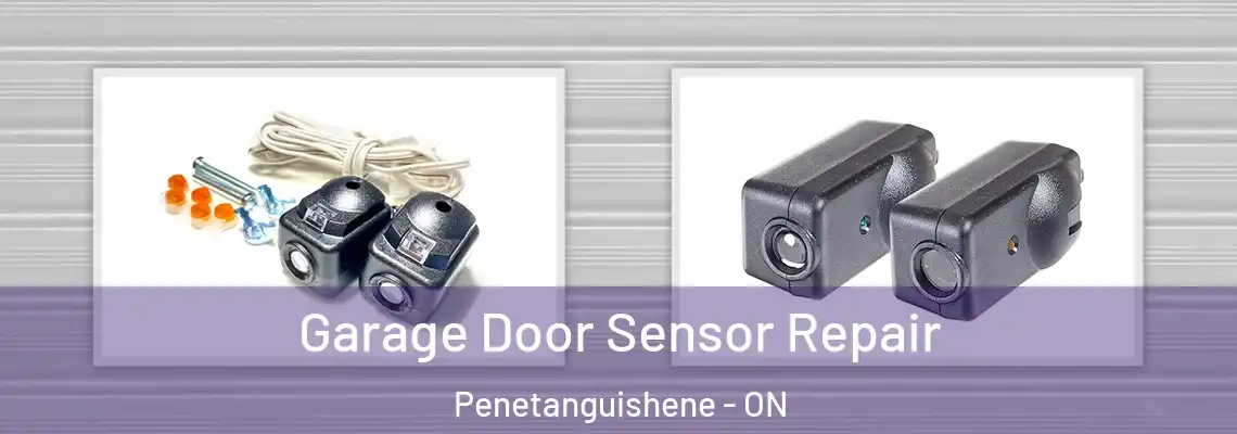 Garage Door Sensor Repair Penetanguishene - ON