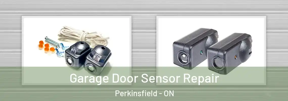 Garage Door Sensor Repair Perkinsfield - ON