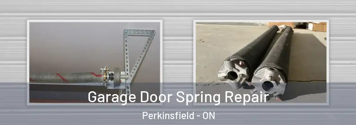 Garage Door Spring Repair Perkinsfield - ON