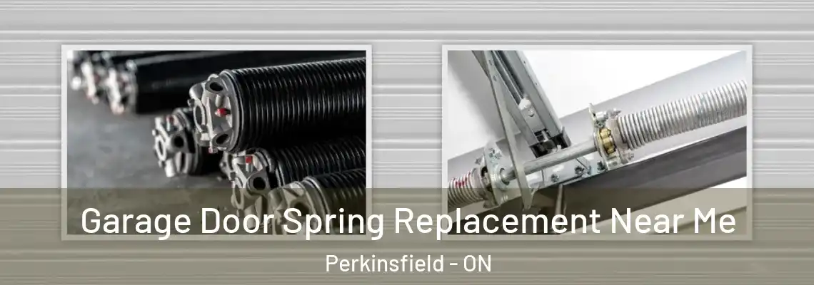 Garage Door Spring Replacement Near Me Perkinsfield - ON