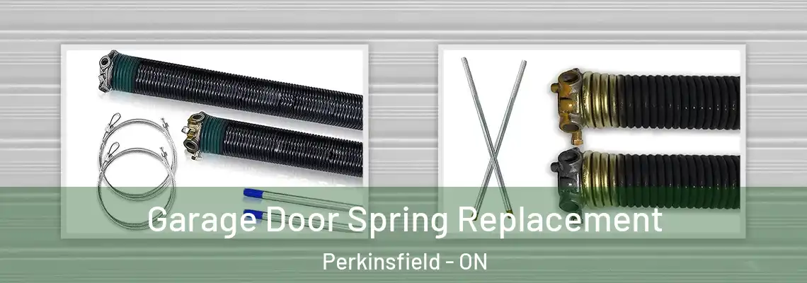 Garage Door Spring Replacement Perkinsfield - ON