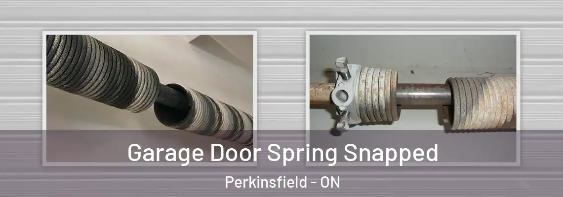 Garage Door Spring Snapped Perkinsfield - ON