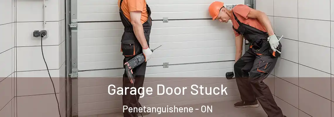 Garage Door Stuck Penetanguishene - ON