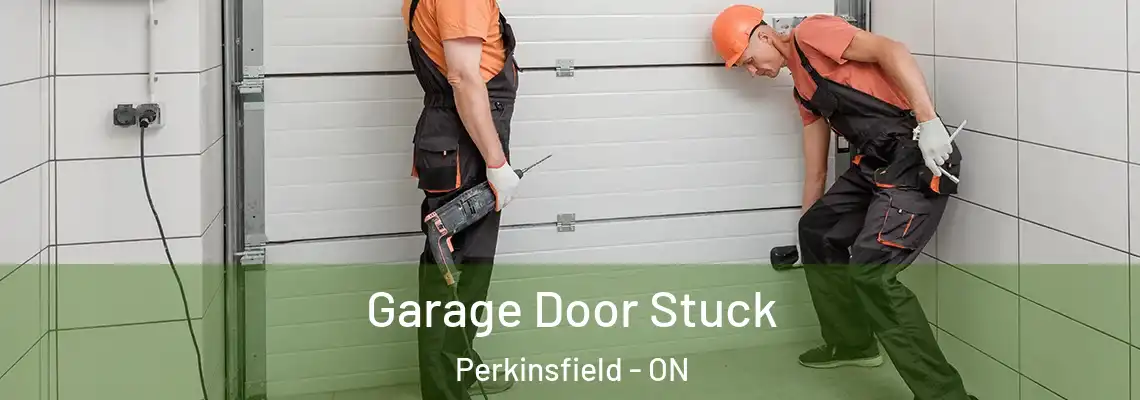 Garage Door Stuck Perkinsfield - ON