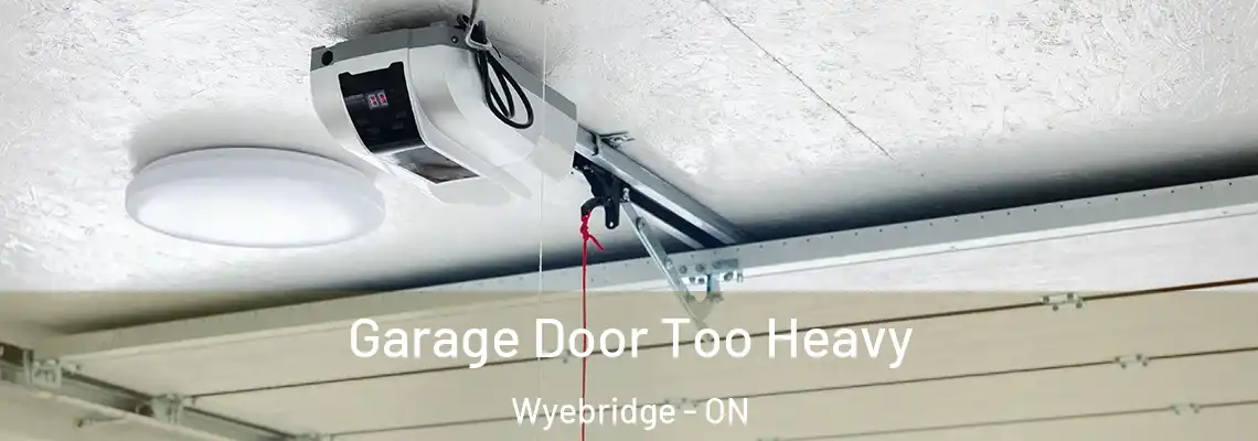  Garage Door Too Heavy Wyebridge - ON