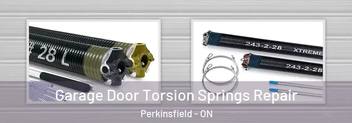 Garage Door Torsion Springs Repair Perkinsfield - ON