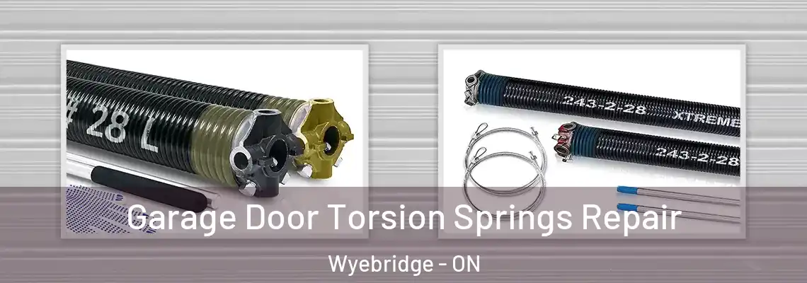Garage Door Torsion Springs Repair Wyebridge - ON