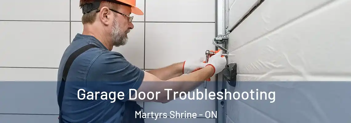 Garage Door Troubleshooting Martyrs Shrine - ON