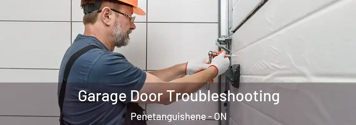 Garage Door Troubleshooting Penetanguishene - ON