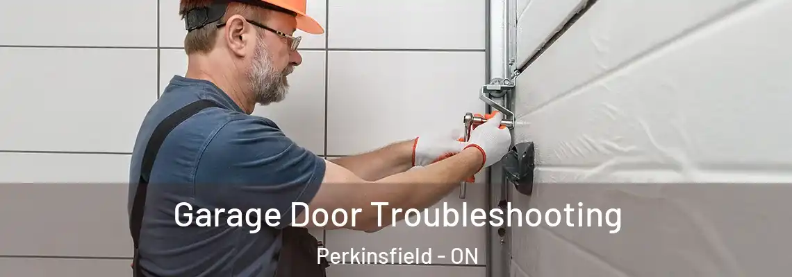 Garage Door Troubleshooting Perkinsfield - ON