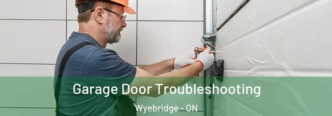 Garage Door Troubleshooting Wyebridge - ON