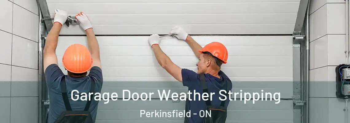 Garage Door Weather Stripping Perkinsfield - ON