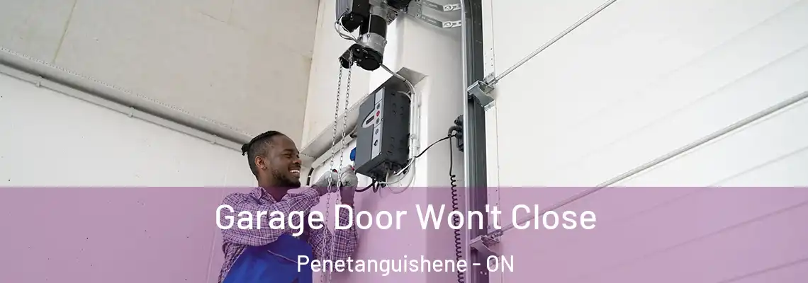 Garage Door Won't Close Penetanguishene - ON