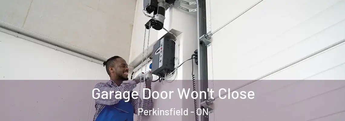 Garage Door Won't Close Perkinsfield - ON