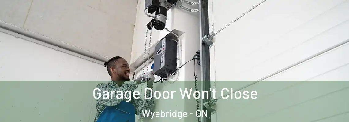 Garage Door Won't Close Wyebridge - ON
