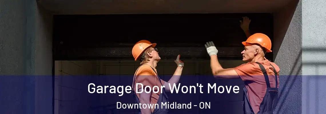 Garage Door Won't Move Downtown Midland - ON