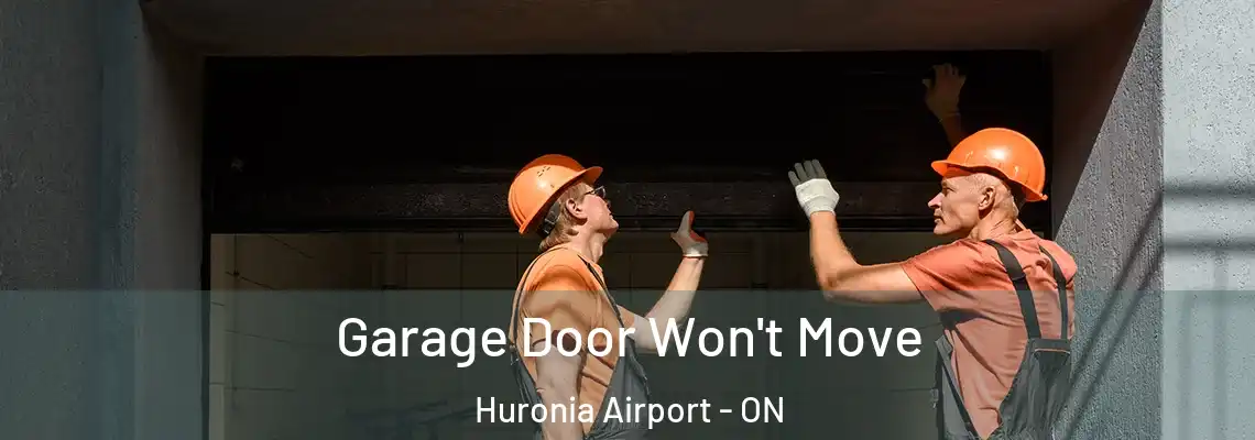 Garage Door Won't Move Huronia Airport - ON
