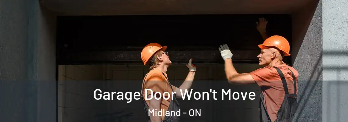 Garage Door Won't Move Midland - ON