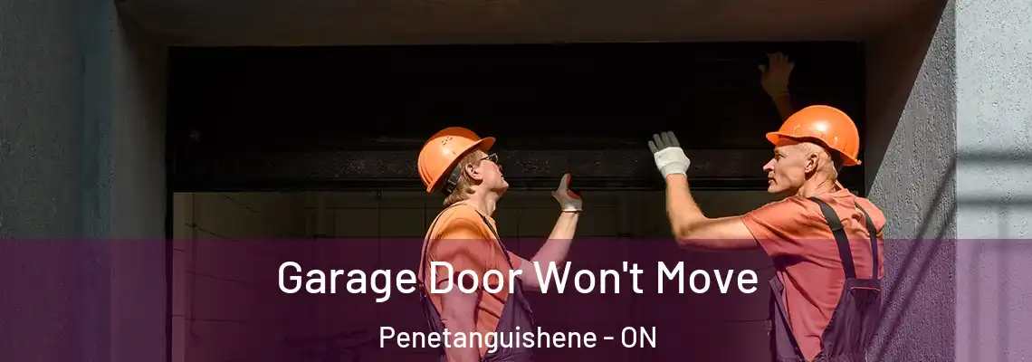 Garage Door Won't Move Penetanguishene - ON