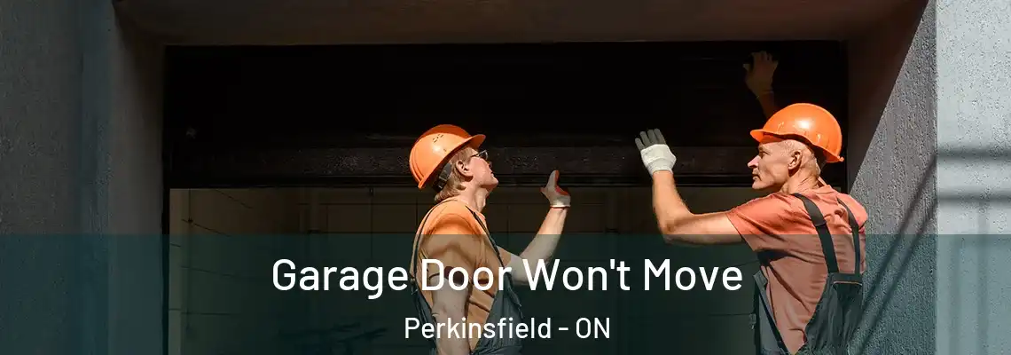 Garage Door Won't Move Perkinsfield - ON