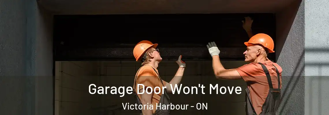 Garage Door Won't Move Victoria Harbour - ON