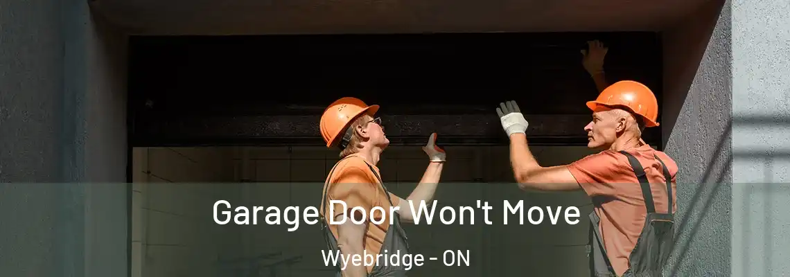 Garage Door Won't Move Wyebridge - ON