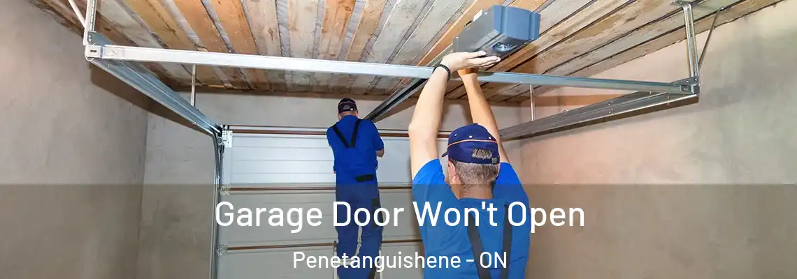 Garage Door Won't Open Penetanguishene - ON