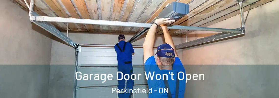  Garage Door Won't Open Perkinsfield - ON