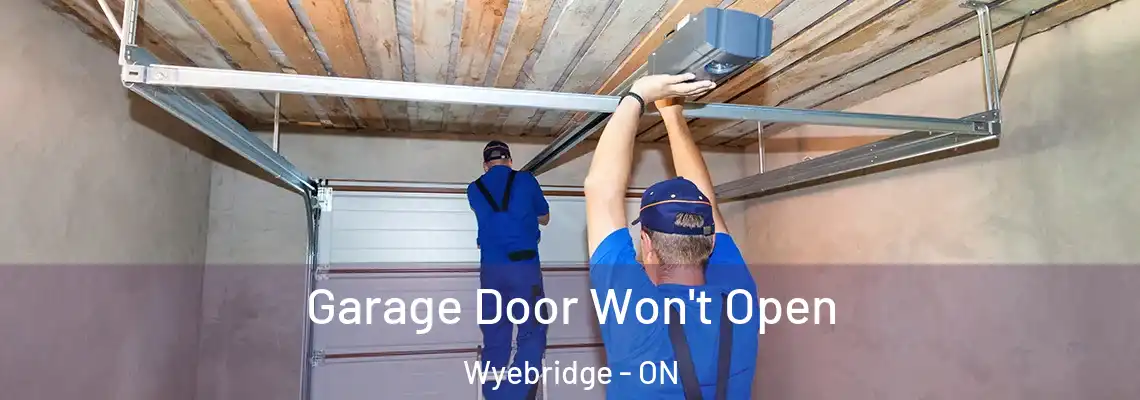 Garage Door Won't Open Wyebridge - ON