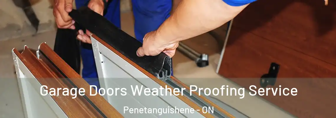 Garage Doors Weather Proofing Service Penetanguishene - ON