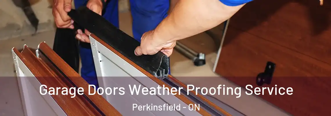 Garage Doors Weather Proofing Service Perkinsfield - ON
