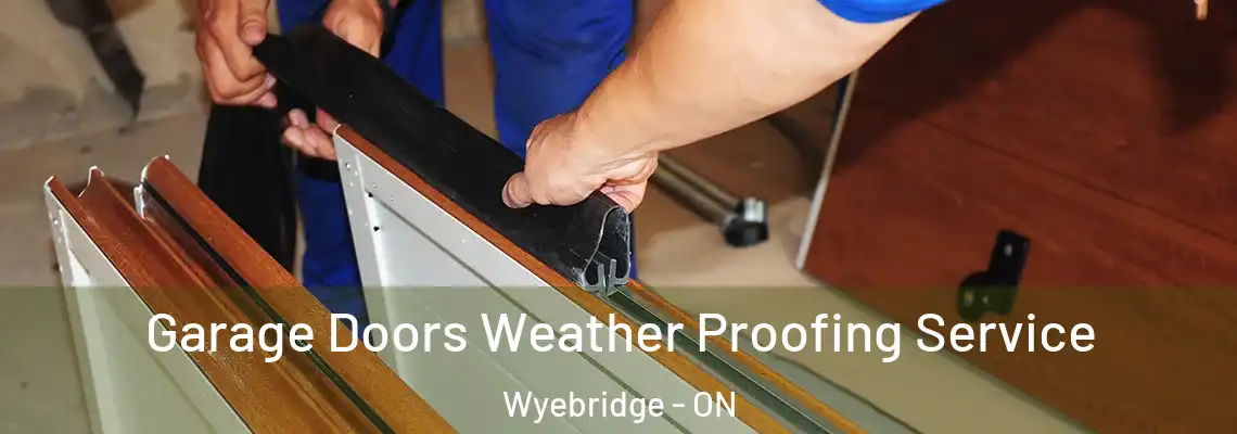 Garage Doors Weather Proofing Service Wyebridge - ON