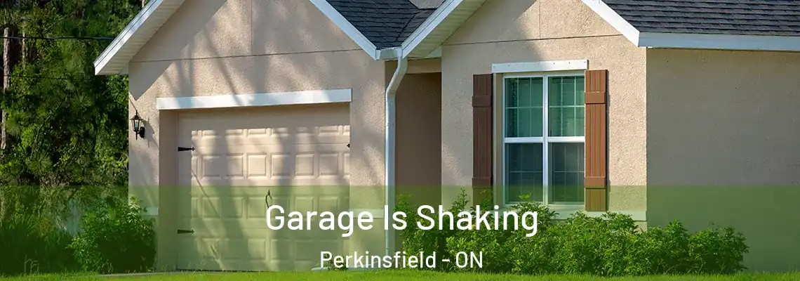 Garage Is Shaking Perkinsfield - ON