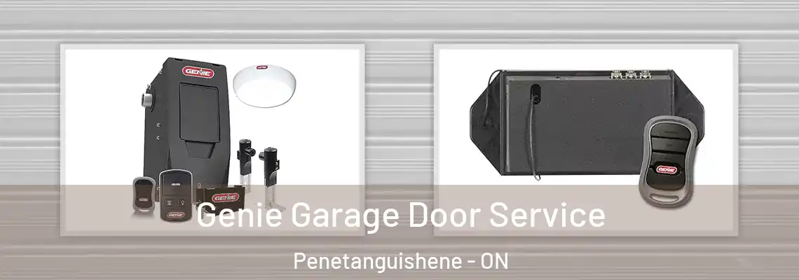 Genie Garage Door Service Penetanguishene - ON